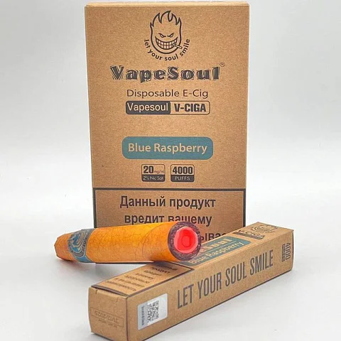 VAPE SOUL 4000