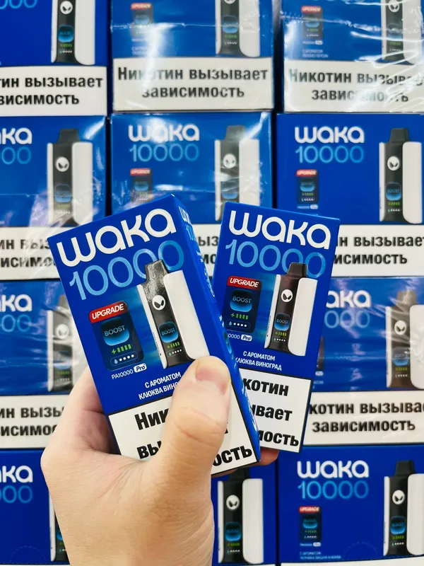 WAKA PA10000 PRO